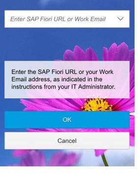 fiori client login sap work passcode automatic does when url reopened confirm then screen stechies