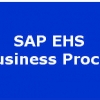 IT Professionals Network