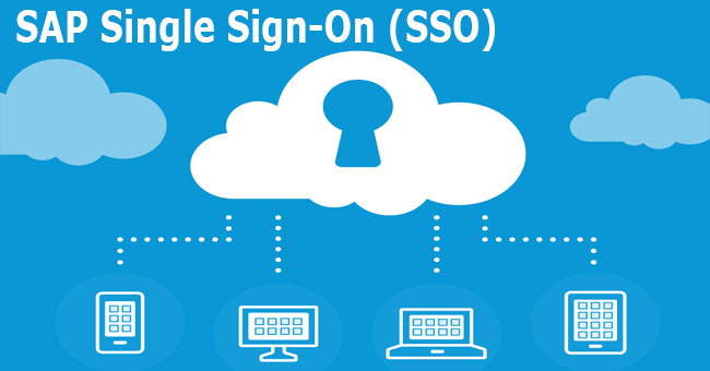 SAP Single Sign-On (SSO) Benefits and Limitations in SAP BASIS