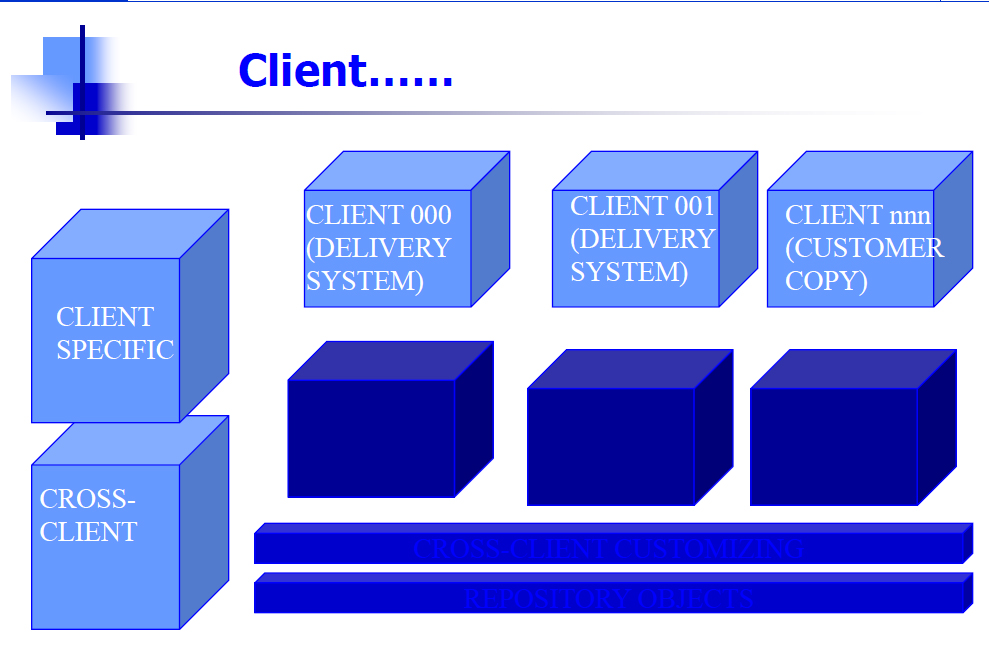 Client