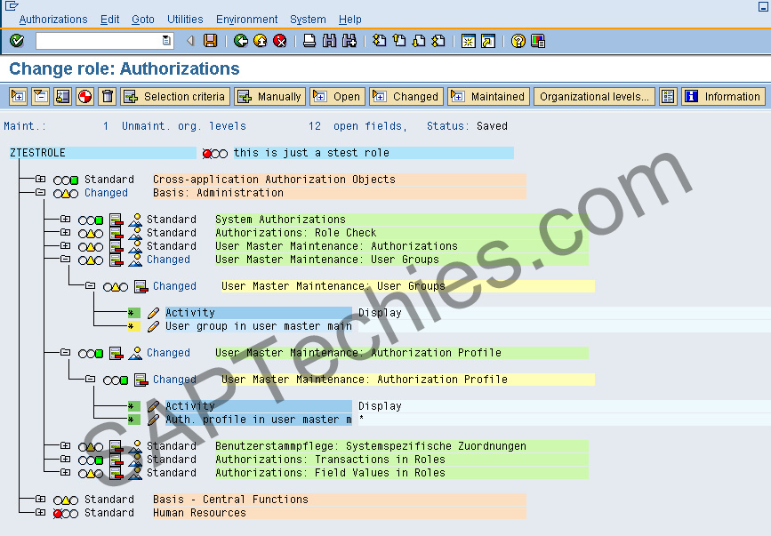 Authorization Matrix Template