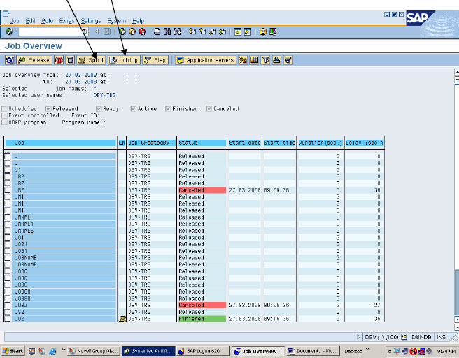 Schedule Background Job