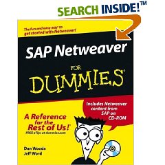 sap for dummies pdf dolap magnetband co sap for beginners