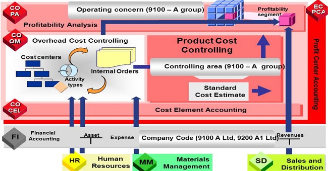 cost element assignment to value field