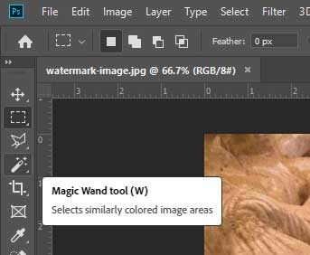 how to use magic wand tool in freephototool how to use magic wand tool in freephototool