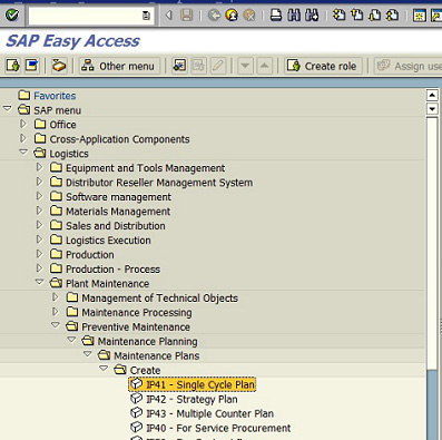 sap training