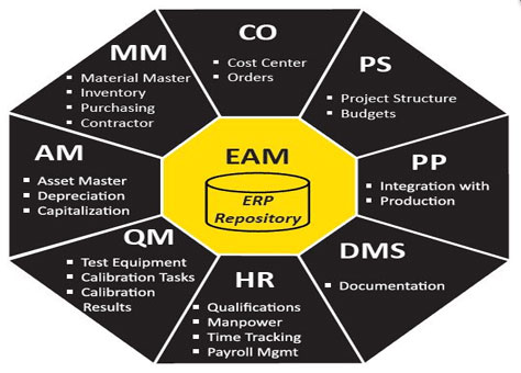 pitfalls of enterprise asset management systems