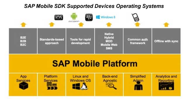 Sap-image