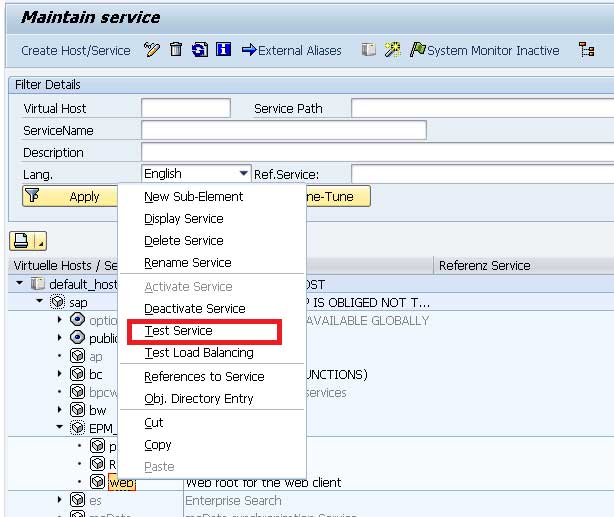 what is a server url example