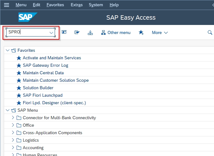 How to Define Data Carrier Type in SAP?