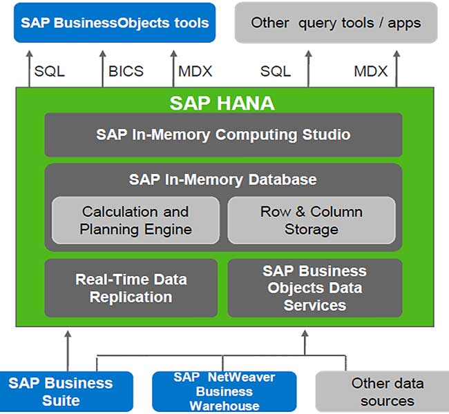อัลบั้ม 99+ ภาพ คู่มือ Sap ภาษา ไทย อัปเดต