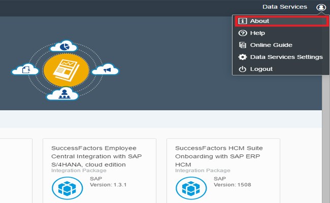 Check Version of HCI Server