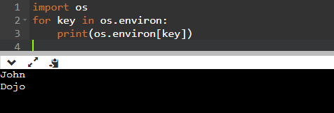 Bug slot podning How to Set environment variables in Python