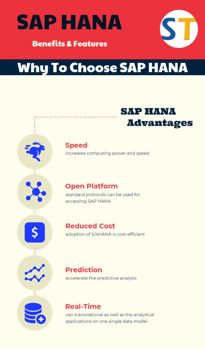 ¿Qué significa Hana?